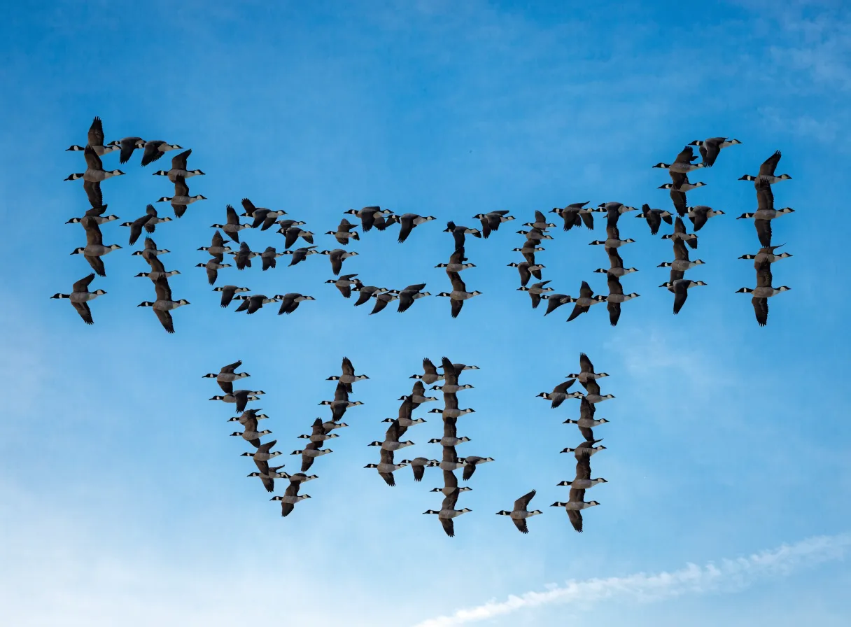 Recraft V4.1